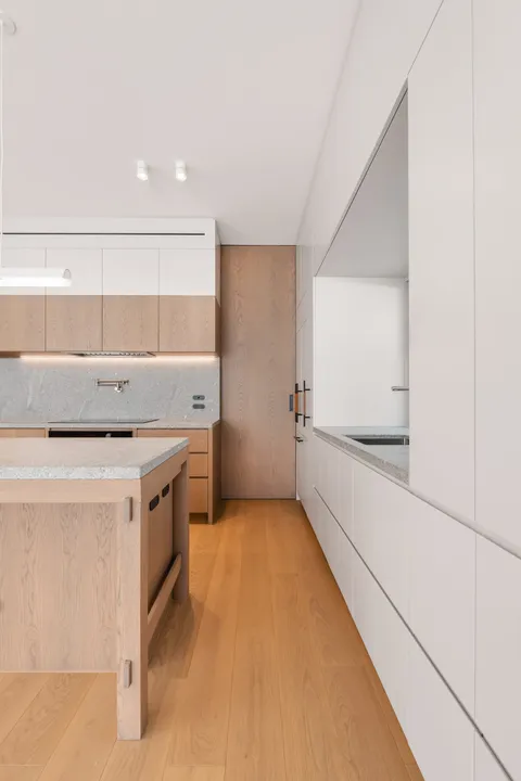 Joy Terrace, South Yarra, rear elevation and garden path, heritage renovation by TCON