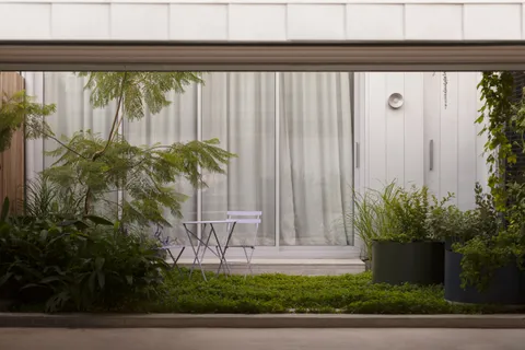 Joy Terrace, South Yarra, open living looking to the garden, heritage renovation by TCON