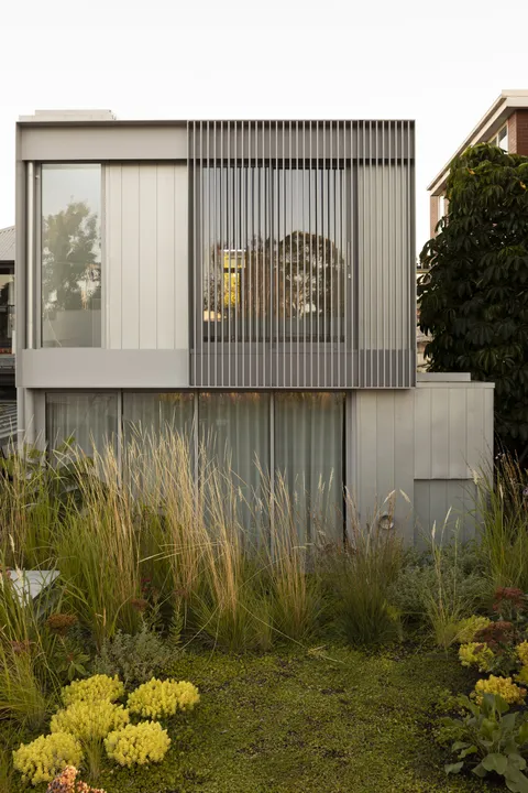 Joy Terrace, South Yarra, rear garden with established tree, heritage renovation by TCON