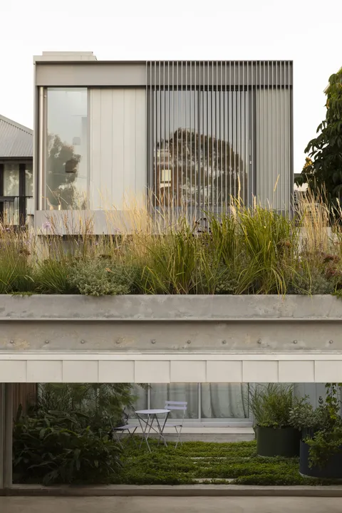 Joy Terrace, South Yarra, side path and planting, heritage renovation by TCON