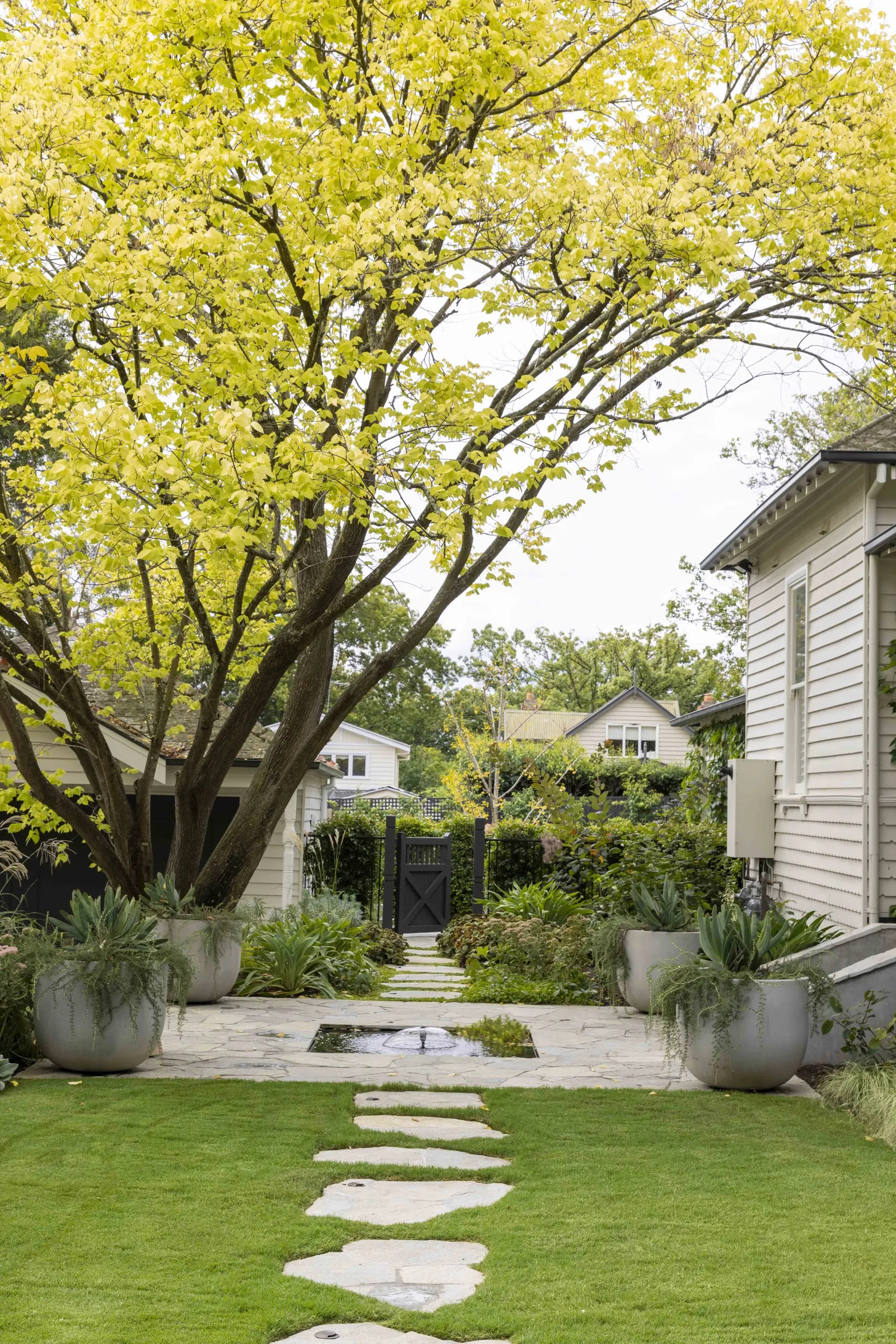 Albany, Surrey Hills, architectural home and garden by TCON