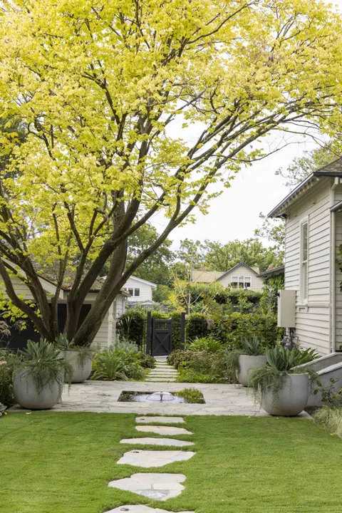 Albany, Surrey Hills, architectural home and garden by TCON