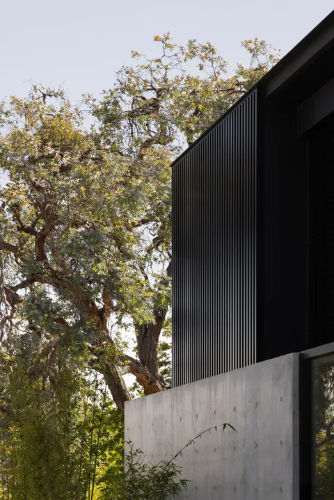 Rosedale, Glen Iris, living, by TCON with Webster Architecture and Interiors