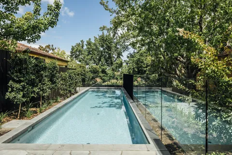 Rectangular lap pool with glass fencing surrounded by mature garden trees