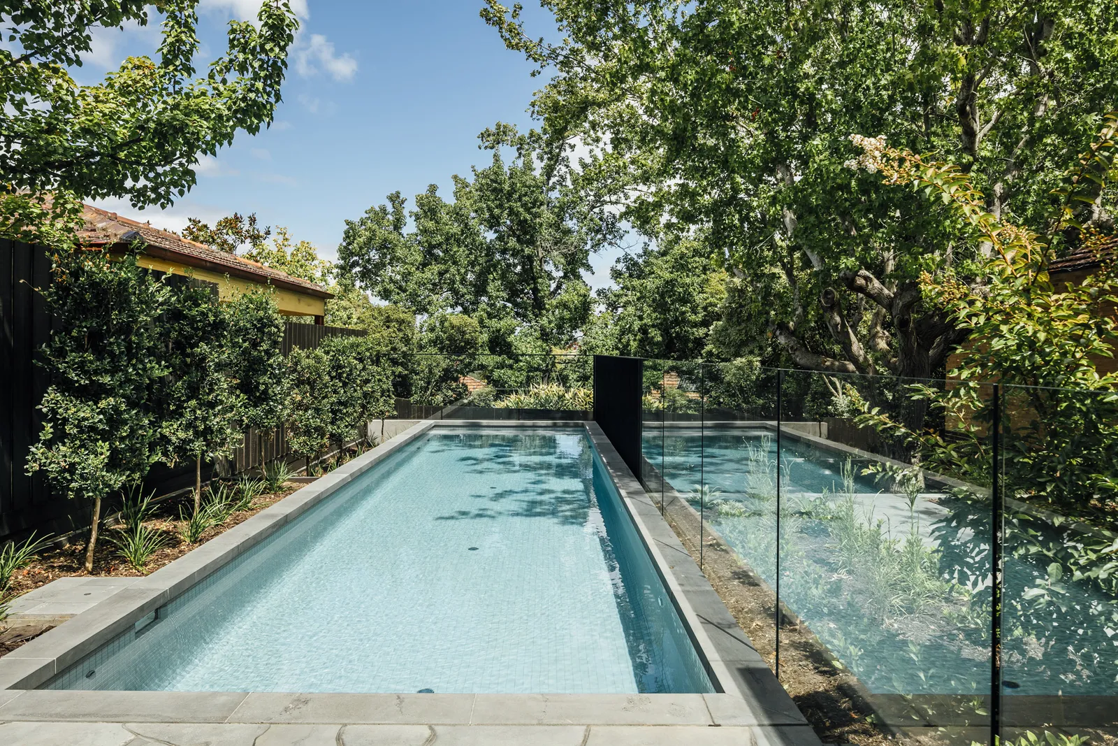 Rectangular lap pool with glass fencing surrounded by mature garden trees